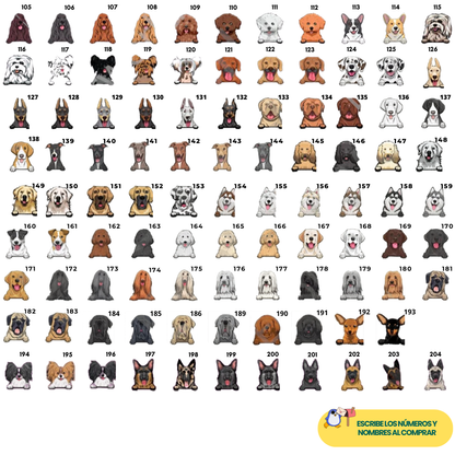 Tapete personalizado para mascota