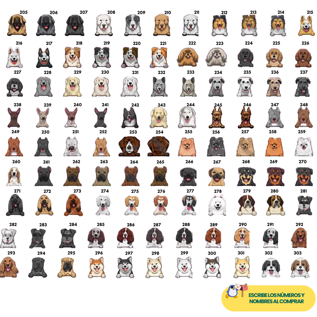 Tapete personalizado para mascota